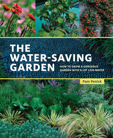 The Water-Saving Garden book cover