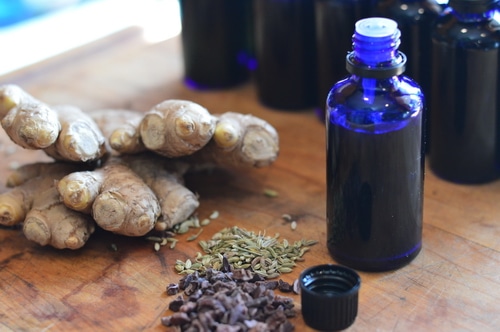 Bitters aid digestion, stimulate bile juices, and calm the nerves, engaging the para-sympathetic nervous system. When you taste bitters, your heart rate slows down, your glandular and intestinal activity increases, and the muscles in your intestinal tract relax, getting ready to digest. Your fight or flight response is relaxed in order to allow your body to nourish itself. Bitters stoke the inner digestive fire. And when the digestion is working optimally, so is the body.