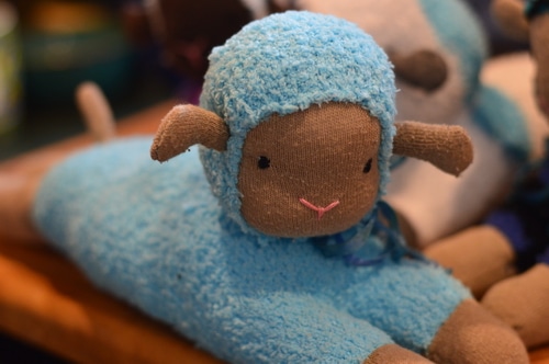 sock lambs 2
