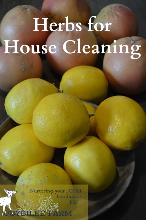 citrus for herbs house cleaning