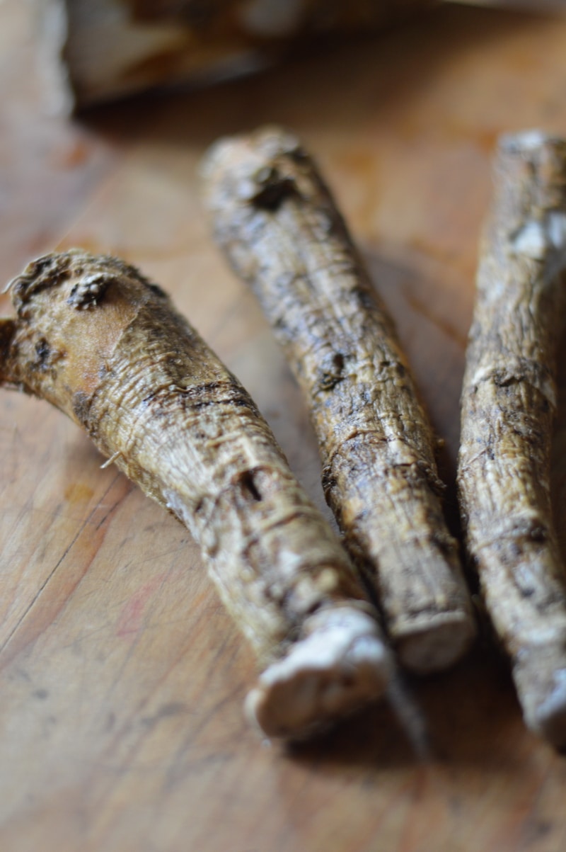 Horseradish root