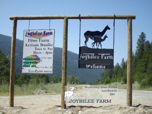 Why did you name your farm "Joybilee Farm"? This is why.
