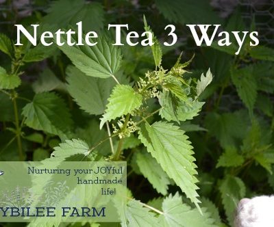 Nettle Tea Three Ways
