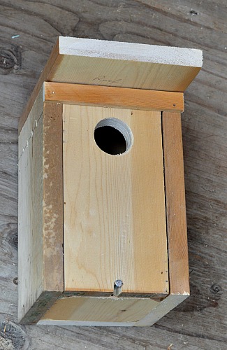 Make a bluebird house from only 1 board