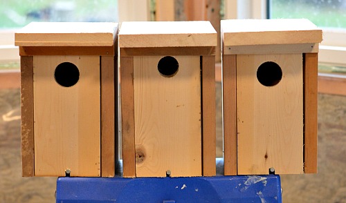 Make a bluebird house from only 1 board