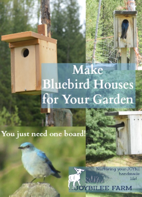 Make a bluebird house from a single board.