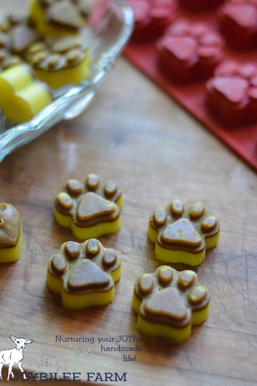 homemade turmeric chews for dogs and cats