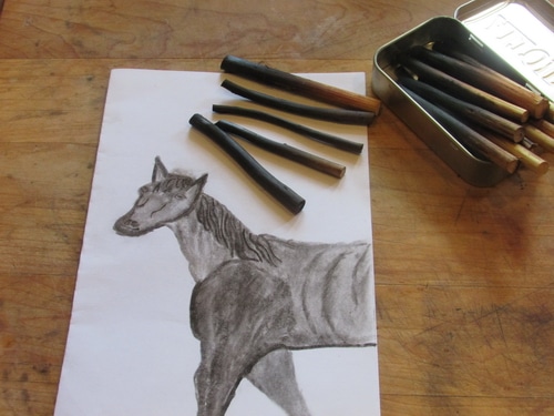 Charcoal is one of the most widely used art mediums. Knowing how to make charcoal for drawing and sketching is a handy skill to have. Now you can make your own artist charcoal at home and gain the satisfaction of saying, "I made it myself." Plus your willow charcoal is of higher quality and more sustainable than anything you can buy at your artist supply store.