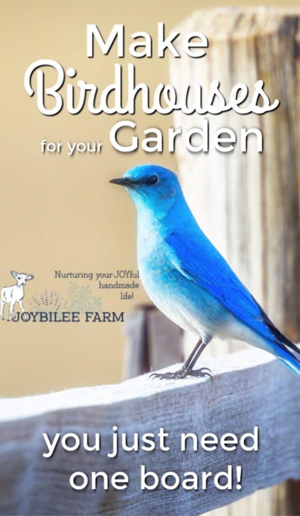 blue bird on a fence