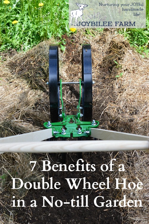 The wheel hoe prepares the rows for planting easily. In a deep mulch system, the mulch is raked aside, exposing the soil, before the wheel hoe passes down the garden bed. In early spring, much of the mulch that was laid down the previous fall is already decomposing, so there is only a light mulch to move aside. I used the cultivator teeth on the double wheel hoe to move the dirt and get the bed ready for planting. Any weeds that had managed to germinate under the thin mulch were nipped off with the cultivator teeth. Then I switched to the right and left plow blades to create a shallow furrow