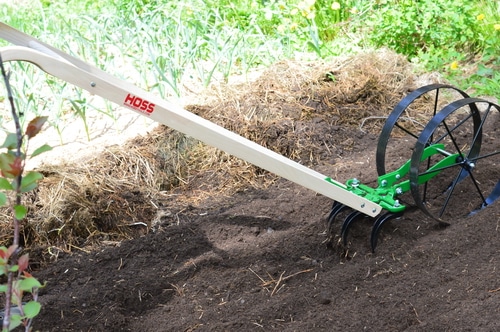 The wheel hoe prepares the rows for planting easily. In a deep mulch system, the mulch is raked aside, exposing the soil, before the wheel hoe passes down the garden bed. In early spring, much of the mulch that was laid down the previous fall is already decomposing, so there is only a light mulch to move aside. I used the cultivator teeth on the double wheel hoe to move the dirt and get the bed ready for planting. Any weeds that had managed to germinate under the thin mulch were nipped off with the cultivator teeth. Then I switched to the right and left plow blades to create a shallow furrow