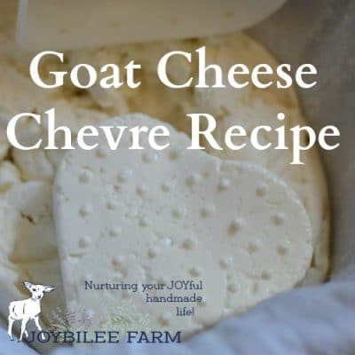 Goat Cheese Chevre Recipe