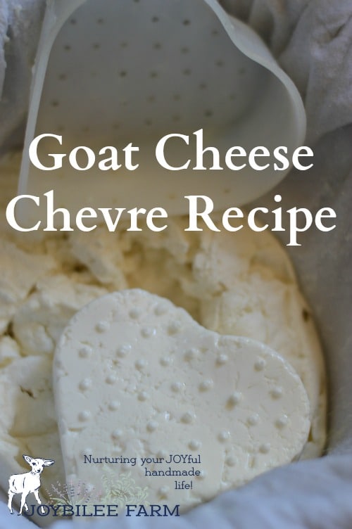 This is a soft goat cheese that is cubed in salads or spread on crackers. It's served in fancy restaurants as an appetizer. But if you make your own it will taste a thousand times better than any that you find in restaurants or grocery stores.