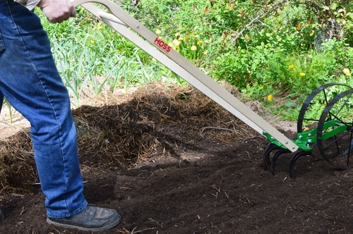 The wheel hoe prepares the rows for planting easily. In a deep mulch system, the mulch is raked aside, exposing the soil, before the wheel hoe passes down the garden bed. In early spring, much of the mulch that was laid down the previous fall is already decomposing, so there is only a light mulch to move aside. I used the cultivator teeth on the double wheel hoe to move the dirt and get the bed ready for planting. Any weeds that had managed to germinate under the thin mulch were nipped off with the cultivator teeth. Then I switched to the right and left plow blades to create a shallow furrow