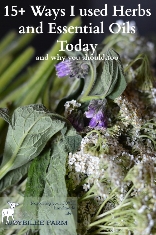 If you are considering switching to herbs and essential oils when SHTF but are not incorporating them into your lifestyle now, I hope you'll change your strategy. It's a learning process to gain the wisdom you need to effectively, consistently, and safely prepare herbal medicine and incorporate it into your lifestyle. Like all preparedness strategies, practice will teach you how to act intuitively in an emergency.