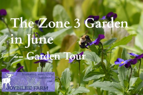 You can grow herbs in your zone 3 garden in June