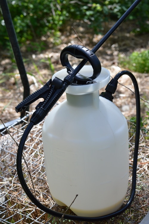 pressurized sprayer