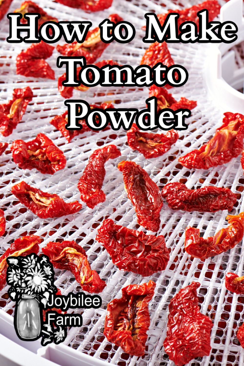 Dried tomato slices on a tray dryer