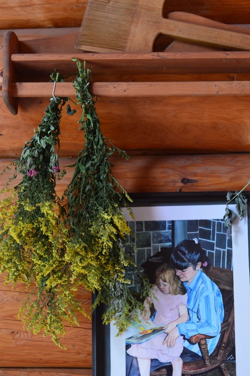 Many fresh garden herbs need to be dried to keep the active constituents potent. The way they are dried has a bearing on the potency of the herb and how long the herb will last in storage. Herbs should retain their colour and their fragrance in storage. Generally dried herbs can be stored for one to two years without loss of potency. Herbs that have lost their fragrance or have faded colour are no longer as potent, and should be replaced with fresh stock.
