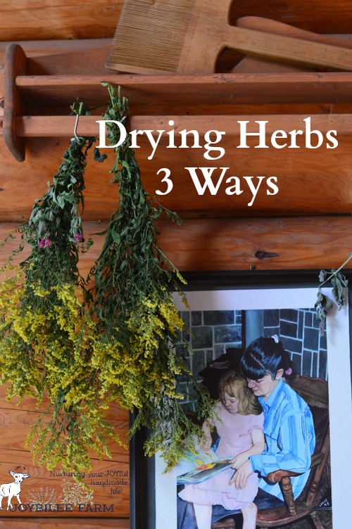Many fresh garden herbs need to be dried to keep the active constituents potent. The way they are dried has a bearing on the potency of the herb and how long the herb will last in storage. Herbs should retain their colour and their fragrance in storage. Generally dried herbs can be stored for one to two years without loss of potency. Herbs that have lost their fragrance or have faded colour are no longer as potent, and should be replaced with fresh stock.