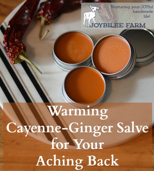 Cayenne Pepper -- Ginger -- St. Johns Wort Salve for aches, pains, inflammation, -- Joybilee Farm