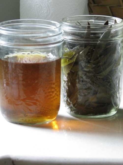 Olive leaves are anti-microbial, anti-viral, anti-inflammatory, and antiseptic. This makes them useful to fight infection, and other feverish conditions, and to stave off a cold or the flu. Buhner in Herbal Antivirals, lists olive leaf as an anti-influenza herb and supplement. Olive leaf is anti-microbial, and anti-viral. It protects the lungs from damage and is useful both in preventing viruses from replicating and in protecting the lungs during a virus that you can’t seem to shake.
