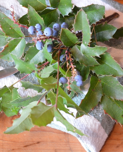 While they are sour they are not as sharp as rhubarb or cranberries, requiring less sugar to make them into a very delicious jelly. The flavour is unique, like wild blueberries with a huckleberry after taste. Once you’ve made your first batch, you’ll be planning more into your fall foraging trips.