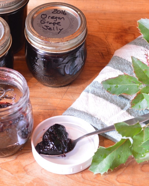 While they are sour they are not as sharp as rhubarb or cranberries, requiring less sugar to make them into a very delicious jelly. The flavour is unique, like wild blueberries with a huckleberry after taste. Once you’ve made your first batch, you’ll be planning more into your fall foraging trips.
