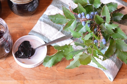 While they are sour they are not as sharp as rhubarb or cranberries, requiring less sugar to make them into a very delicious jelly. The flavour is unique, like wild blueberries with a huckleberry after taste. Once you’ve made your first batch, you’ll be planning more into your fall foraging trips.