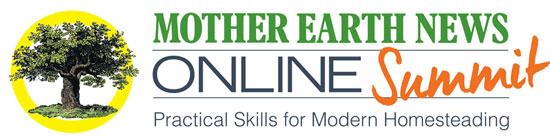 onlinesummit_men_logo550x138