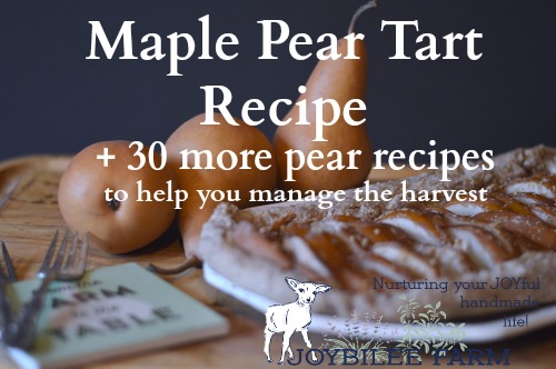 Low on added sugar and high on flavour this pear tart is tasty enough for dessert yet healthy enough for breakfast, brunch, lunch, or afternoon tea. Make it while the pears are ripe. It is a superb fall dish.
