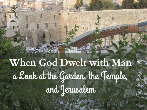 I believe the real value of this book is the call to return to the garden. In the garden there was the daily presence of God walking with the man and his wife. This is what we need to bring healing and to restore our JOY. Turn west and enter in.