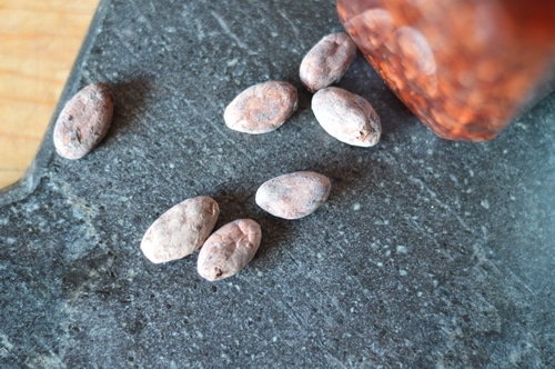 Chocolate extract is a deeply flavourful extract that can be used in the place of vanilla extract in chocolate desserts. It adds a special touch to chocolate chip cookies, pastries, and even whipped cream and frosting. It takes only a few hands-on minutes to make and then a month to steep.