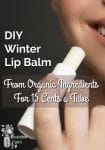 DIY Winter Lip Balm From Organic Ingredients For 15 Cents a Tube