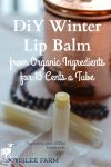 DIY Winter Lip Balm from Organic Ingredients for 15 Cents a Tube