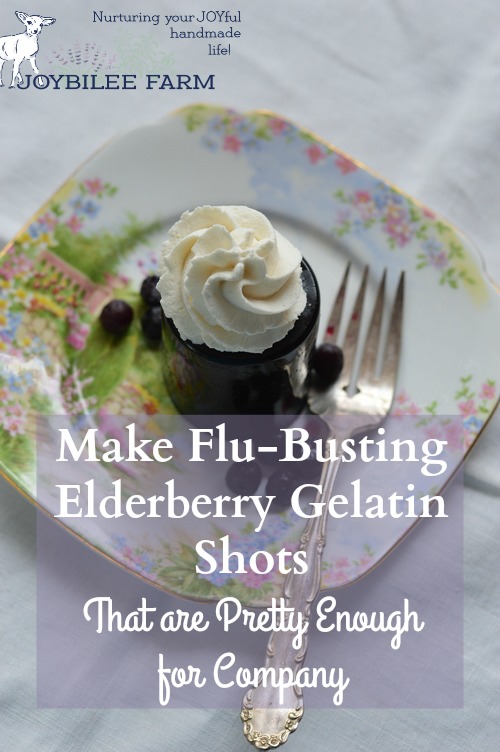 But don’t save this elderberry dessert just for the sick room. Serve this elderberry dessert up often. It’s easy to make, kid pleasing, and pretty enough for company. This recipe uses dried elderberries, but if you have frozen or fresh elderberries or even elderberry juice you can use those instead of making an elderberry decoction. Simply substitute 2 cups of elderberry juice for the dried elderberries and 3 cups of water.