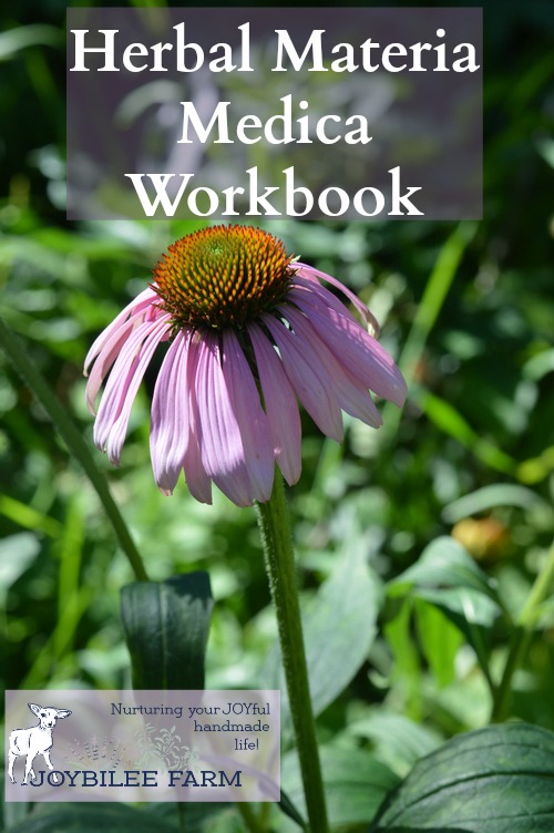 How to study herbs by focusing on one herb at a time. This will jump start your herbal learning and allow you to quickly master medicinal herbs.