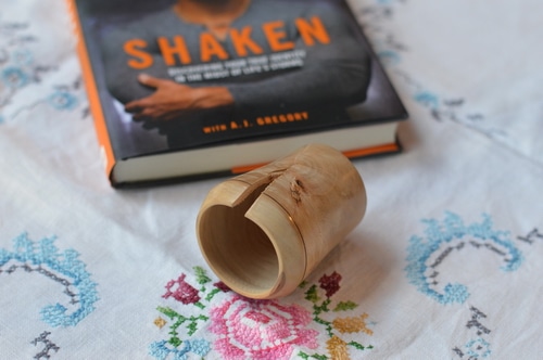 “Shaken” by Tim Tebow