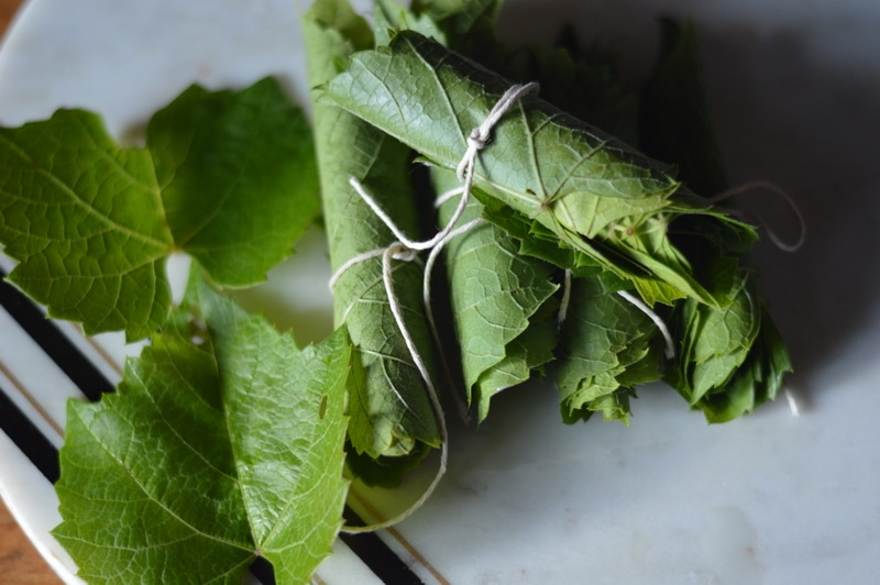 Fermented grape leaves, when used raw provide beneficial microbes. Grape leaves are a good source of Vitamins A, B6, C, E, K, niacin riboflavin, and folate as well as Calcium, Magnesium, Copper, Manganese, and Iron, and a very good source of Dietary Fiber. They are also high in β-Glucans (beta glucans), which are naturally occurring polysaccharides which stimulate the immune system and have been shown to fight cancer.
