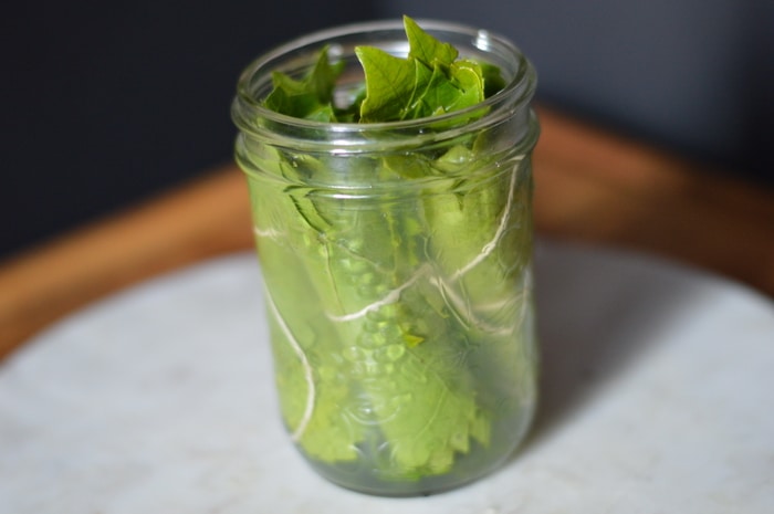 Fermented grape leaves, when used raw provide beneficial microbes. Grape leaves are a good source of Vitamins A, B6, C, E, K, niacin riboflavin, and folate as well as Calcium, Magnesium, Copper, Manganese, and Iron, and a very good source of Dietary Fiber. They are also high in β-Glucans (beta glucans), which are naturally occurring polysaccharides which stimulate the immune system and have been shown to fight cancer.