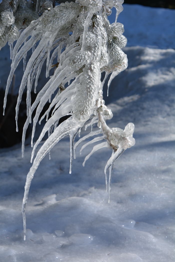 Living as we do in Canada. we've made a few cold weather mistakes. Some of these were serious mistakes. Maybe sharing these with you will help you avoid some dumb mistakes. If sharing my dumb mistakes will help you, I'm willing to risk the humiliation.
