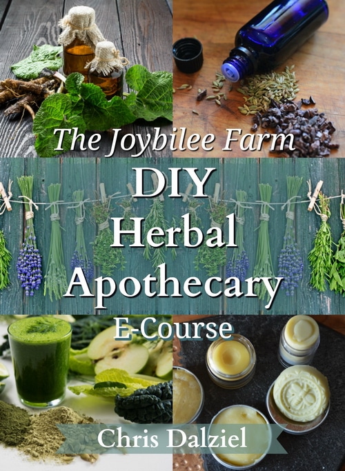 Enroll in the DIY Herbal Apothecary Ecourse now.