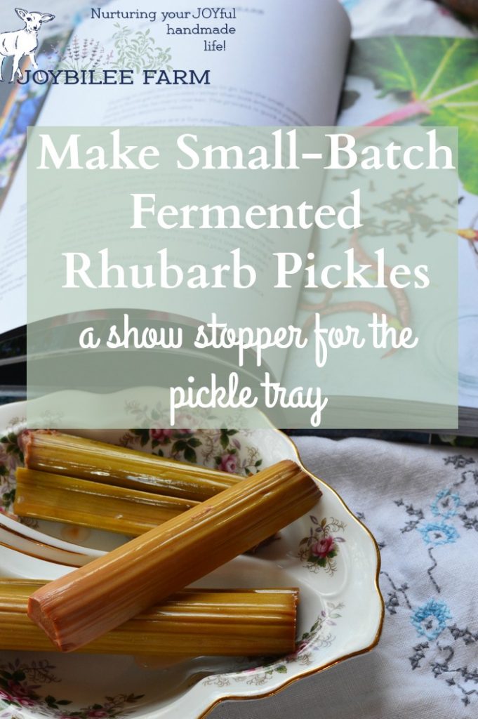 Fermented rhubarb pickles are ready in 5 to 7 days. Leave them for a month and the flavours will merge into a tart-sweet delight. They’ll keep in the fridge for a year, so go ahead and make a few jars while the rhubarb is at its peak of ripeness.