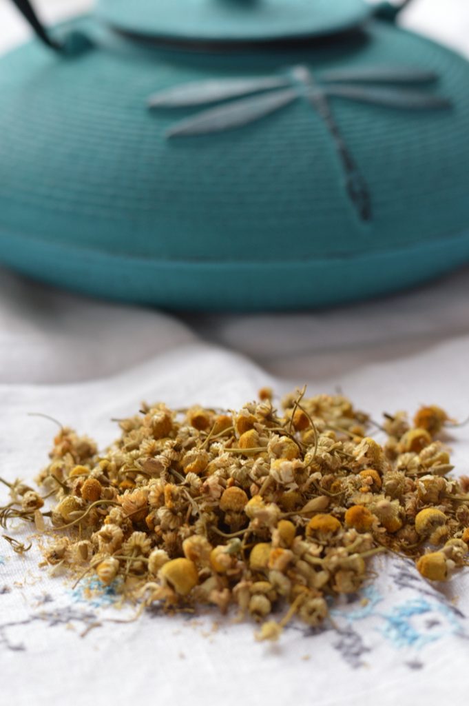 Chamomile tea, called manzanilla or “little apple” in Spanish, due to its apple-like scent, is one of the best herbal remedies for anxiety and sleeplessness. A cup of manzanilla tea before bed soothes and relaxes the mind, without leaving you groggy in the morning. It is safe for young children, pregnant women, nursing mothers, and the elderly. And while you probably know it well as a sleep and anxiety remedy, you probably didn’t realize that manzanilla tea is one of the best remedies for tummy upset, nausea, and colicky pains, among its many other benefits.