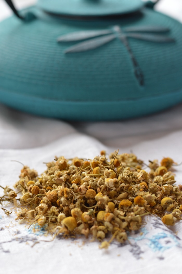 Chamomile tea, called manzanilla or “little apple” in Spanish, due to its apple-like scent, is one of the best herbal remedies for anxiety and sleeplessness. A cup of manzanilla tea before bed soothes and relaxes the mind, without leaving you groggy in the morning. It is safe for young children, pregnant women, nursing mothers, and the elderly. And while you probably know it well as a sleep and anxiety remedy, you probably didn’t realize that manzanilla tea is one of the best remedies for tummy upset, nausea, and colicky pains, among its many other benefits.