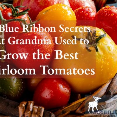 10 Secrets Grandma Used for the Best Heirloom Tomatoes
