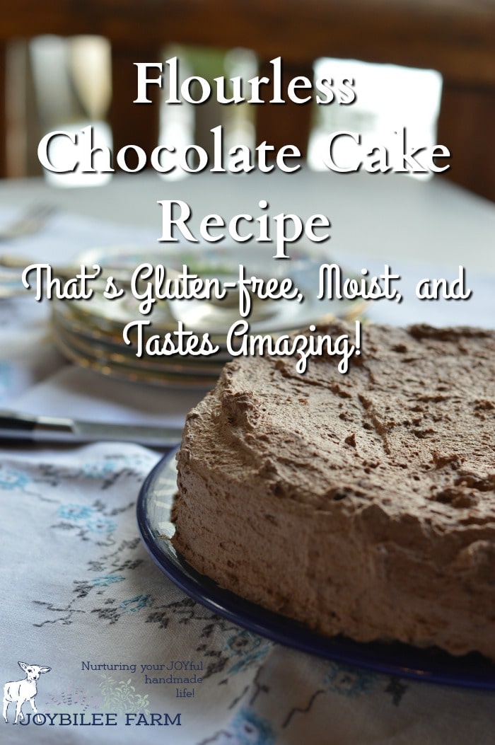 This flourless chocolate cake recipe is made with leftover, cooked, quinoa. It is light and structured with a texture like a normal cake. This is the ideal recipe for Passover celebrations, gluten free desserts, or for those following a grain-free diet. Make it tonight.
