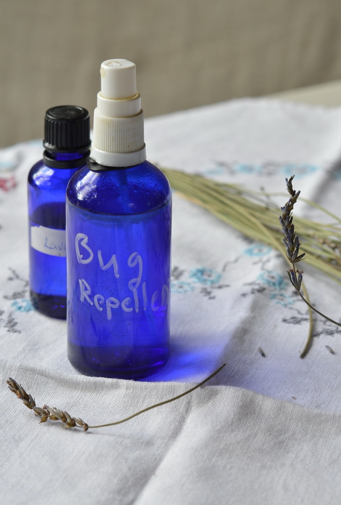 This bug repellent spray protects against biting flies, mosquitoes, ticks, midges, and black flies. However, note that each essential oil chosen for this blend is not 100% effective for all insect pests. It’s the synergistic blend that covers you against blood sucking insects.