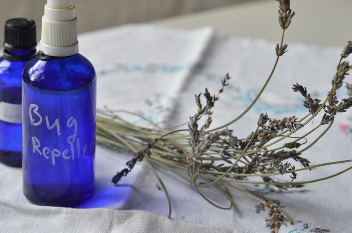 This bug repellent spray protects against biting flies, mosquitoes, ticks, midges, and black flies. However, note that each essential oil chosen for this blend is not 100% effective for all insect pests. It’s the synergistic blend that covers you against blood sucking insects.