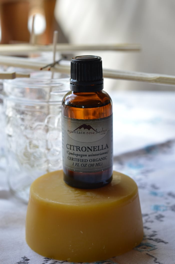 Citronella is an effective deterrent to biting insects like mosquitoes and sand flies. Citronella essential oil when used as a spray-on repellent was 98% effective immediately after application. When applied to the skin at 3% concentration citronella was nontoxic and effective at ranges up to 98%. The active compounds in citronella oil for repelling mosquitoes are camphor, eucalyptol, eugenol, linalool, citronellal and citral.